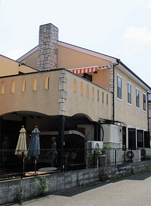 シェーン橋本外見