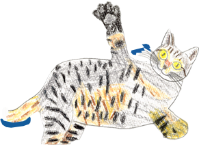 シェーン橋本画像装飾ネコ