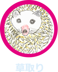 草取りのイメージ