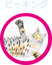 ピッキングの仕事のイメージ